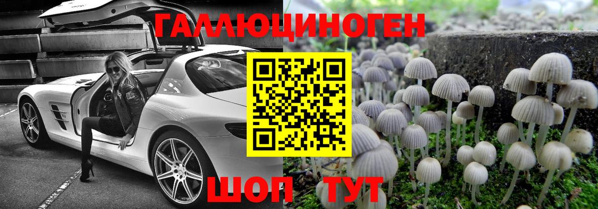 Галлюциногенные грибы Cubensis  Вход с VPN  где купить наркоту  Крымск 