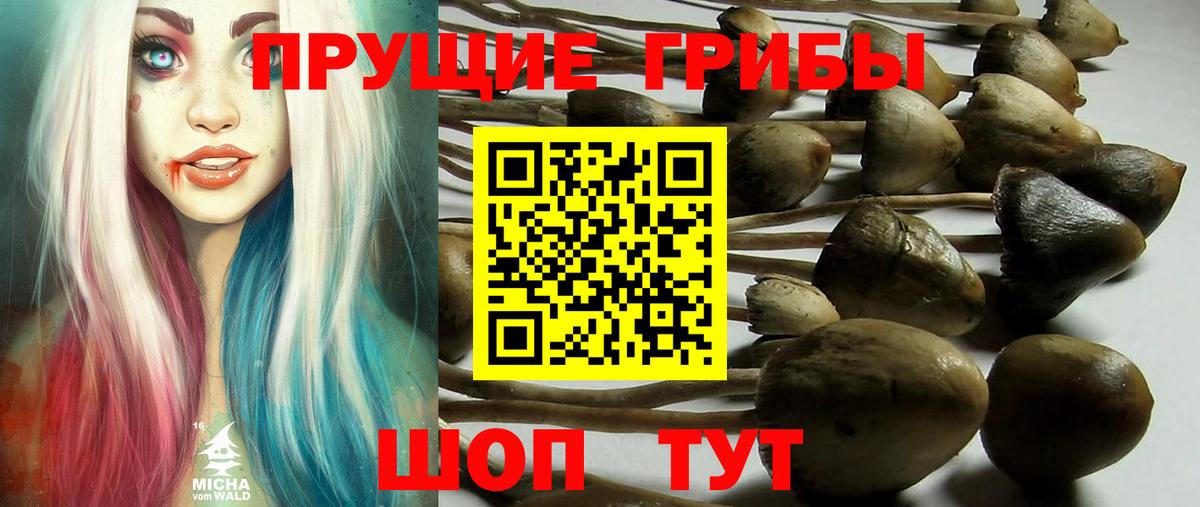 Псилоцибиновые грибы прущие грибы Крымск